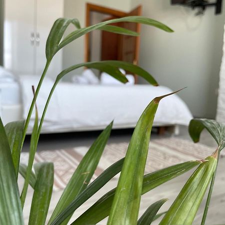 Agroni Rooms Tirana Buitenkant foto
